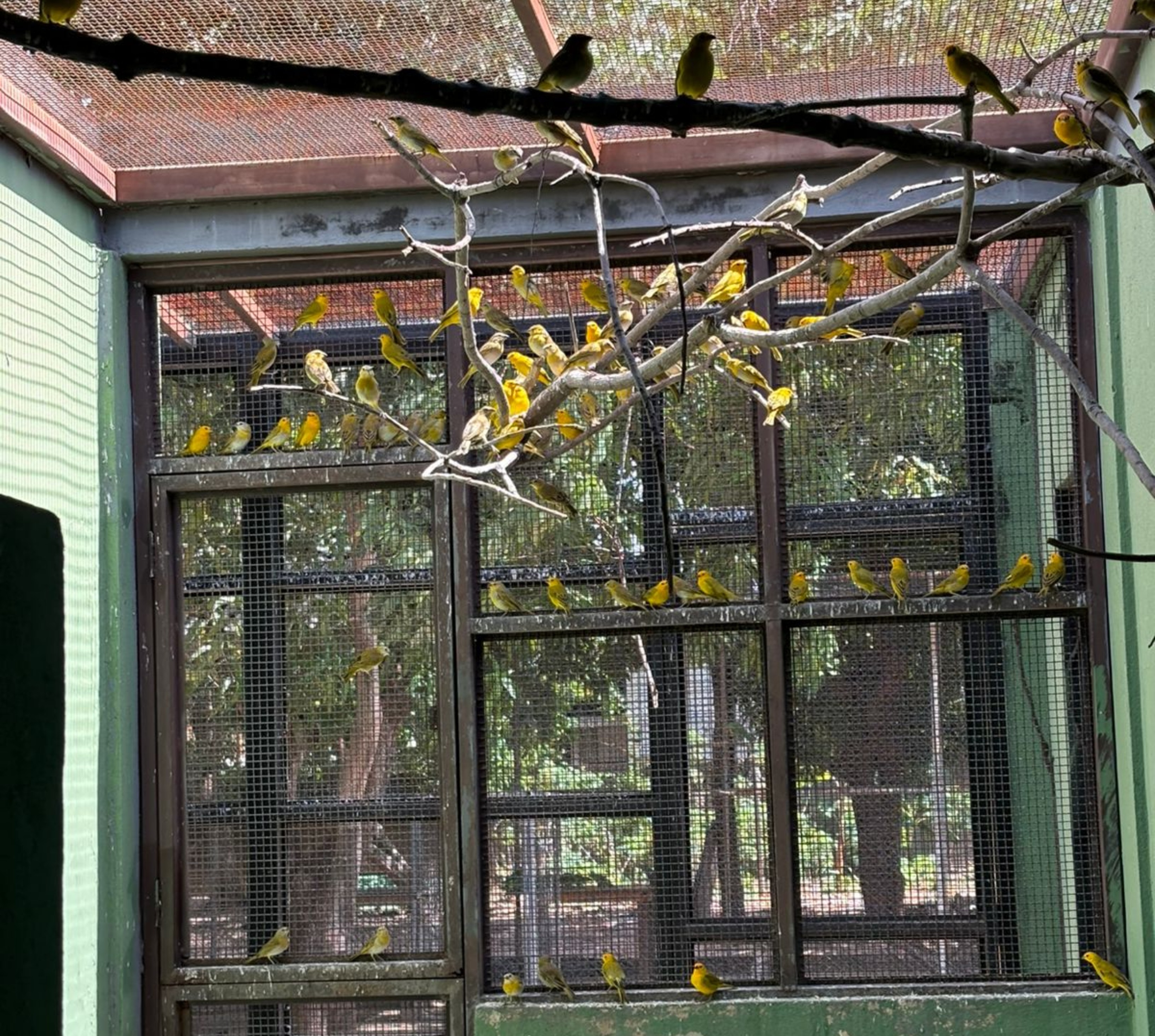 foto Not&iacute;cia Boa Vista